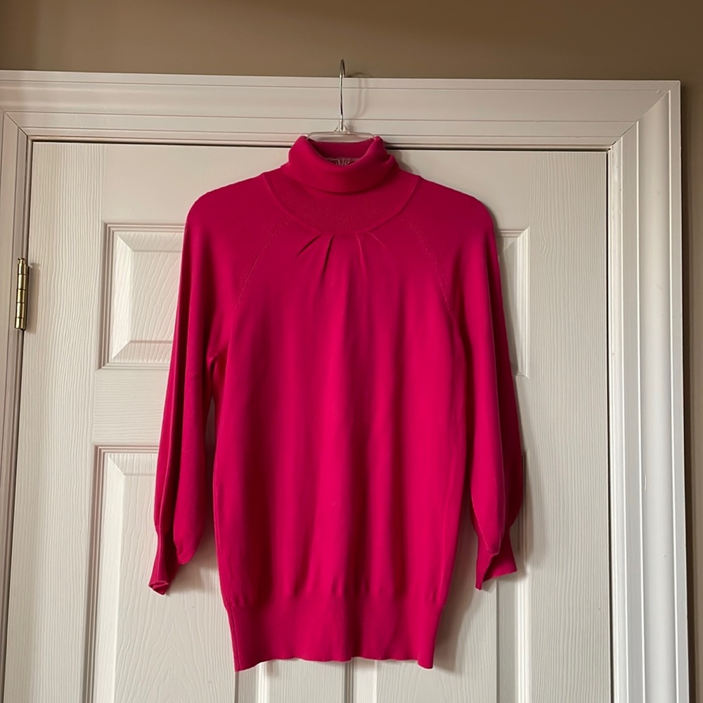 Express Pink Turtleneck Sweater